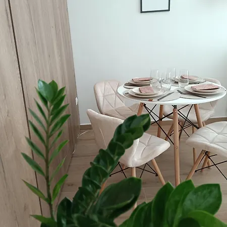 Modern Lux Apartament Seghedin